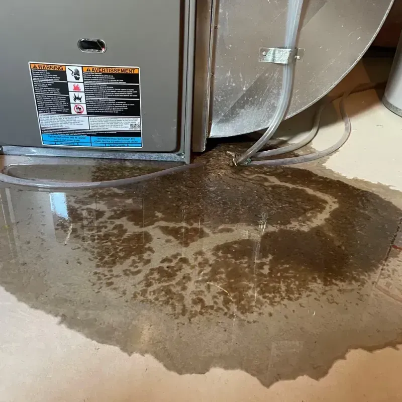 Appliance Leak Cleanup in Mills, WY