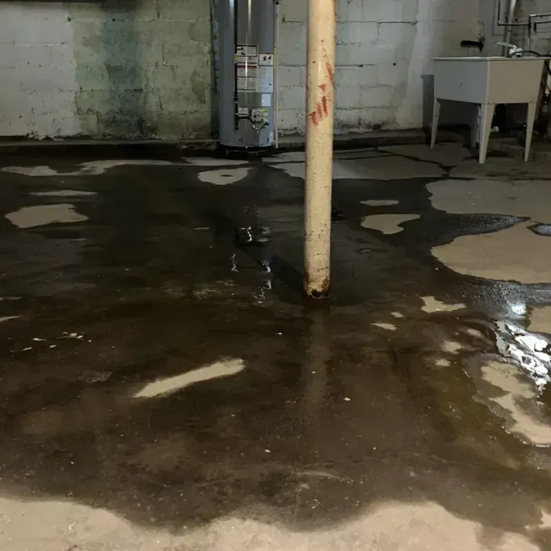 Emergency Water Extraction And Removal in Mills, WY